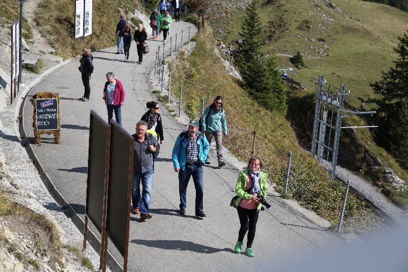 Schynige Platte5